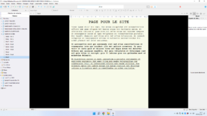 Affichage Page dans SCRIVENER